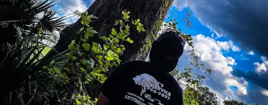 Tree Service Company