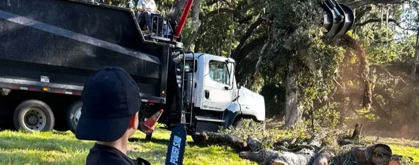 Tree Service Near Me