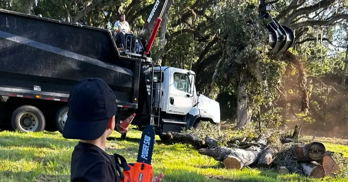 Tree Service Near Me