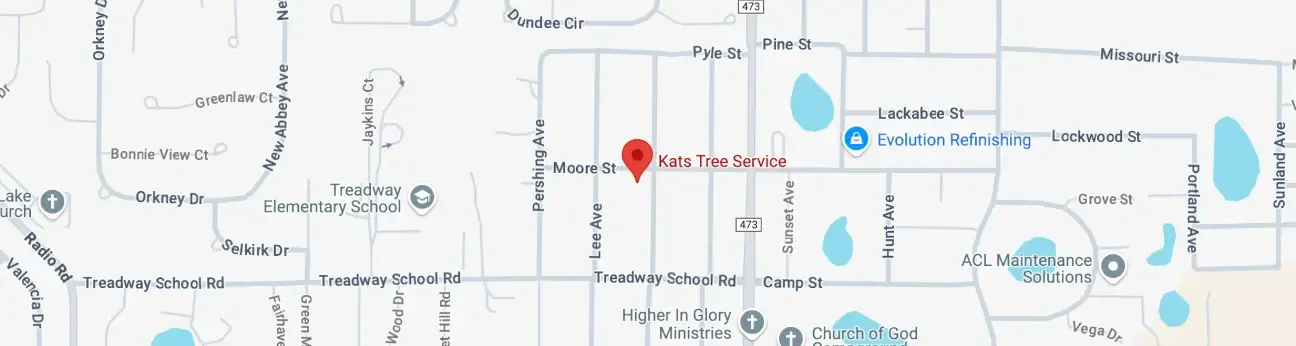 Kats Tree Service Service Area