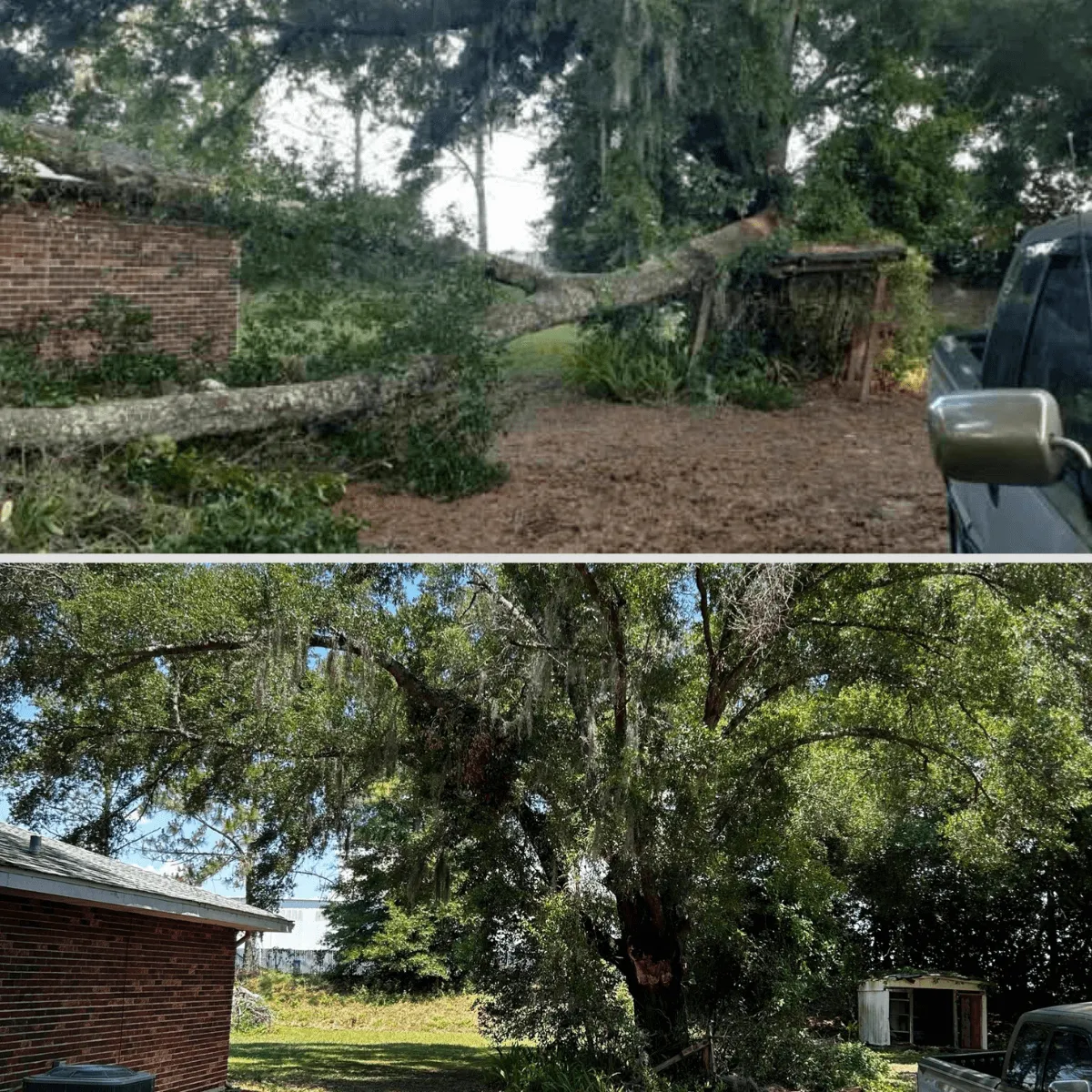 disaster relief services